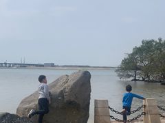 -宝安西湾红树林湿地公园