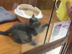 -龟与熊猫宠物公园(南坪店)
