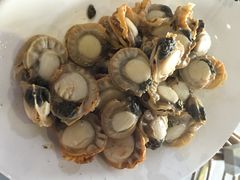 营口皇家园林酒店海鲜自助-皇家园林酒店