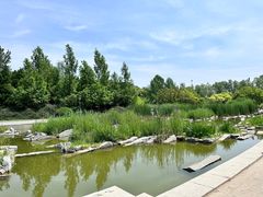 -大望京公园