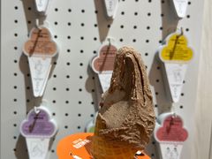 -野人先生现做冰淇淋(北京顺义祥云小镇店)