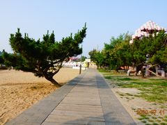 -北戴河碧螺塔海上酒吧公园