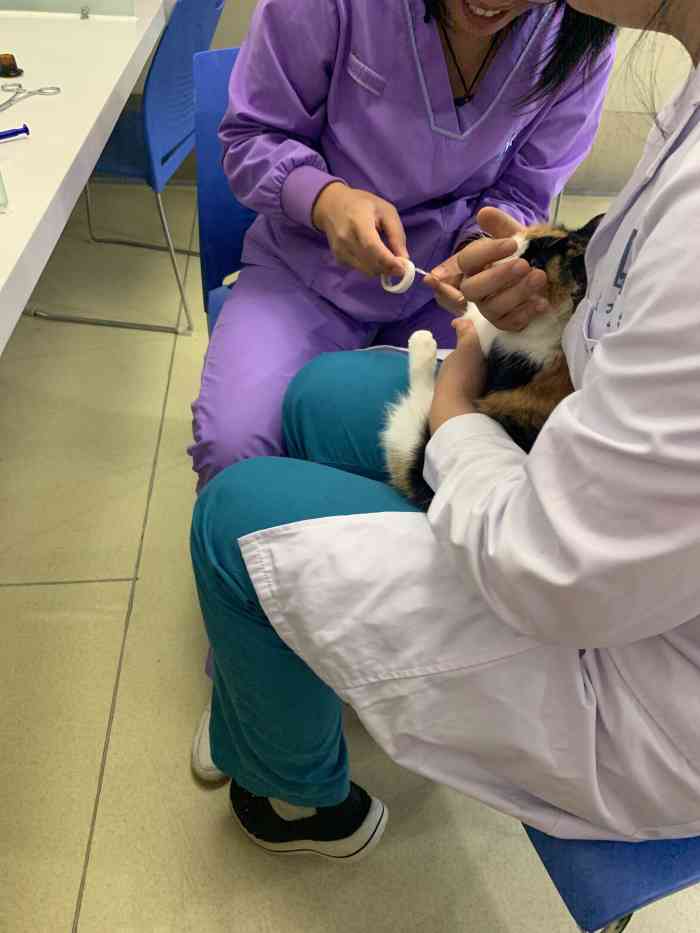 康旭宠物医院(郑东新区分院)-"医院环境干净整洁,整体风格很温馨.