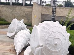 -青岛贝壳博物馆
