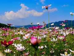 -木洞河街