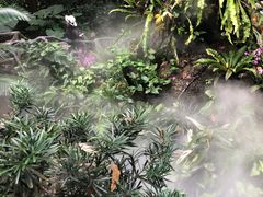 -呀诺达热带雨林