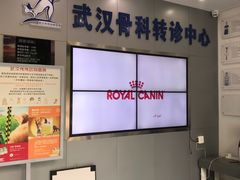 -伟伟宠物医院·CT影像中心·瑞派犬猫综合性门诊(汉口总院)
