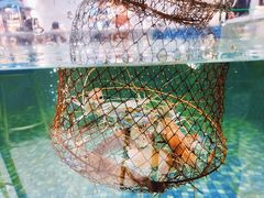 -嘻虾·钓虾工场(东莞总店)