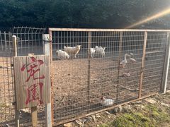 -北京山里寒舍度假酒店