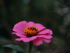 -潇河湿地公园