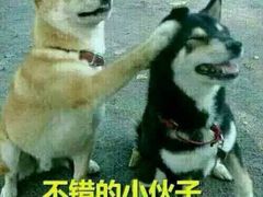 -迪卡侬(徐泾店)