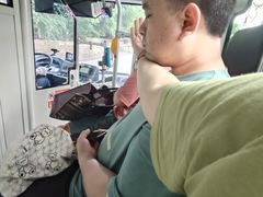 -铁山坪森林公园