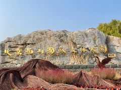 -北京西山国家森林公园