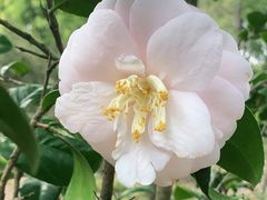 -华南国家植物园-售票处