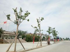 -嵩山少林文化旅游景区