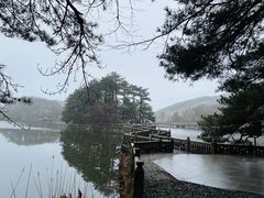 -庐山风景区花径公园