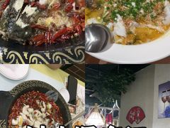 -金三可市井水煮鱼(金碧园店)