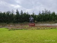 -上海海湾国家森林公园