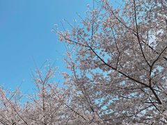 -堤角公园