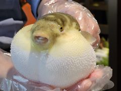 -肆月河豚·淮扬菜·湘菜(华天店)