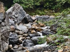 -石台牯牛降景区