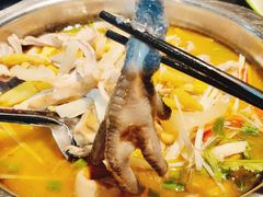 -陈三娃泡姜鸡(太白北路店)