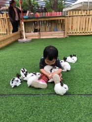 点击看大图 -萌宠亲子动物乐园(槐房万达店)