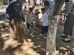 -西霞口神雕山野生动物世界