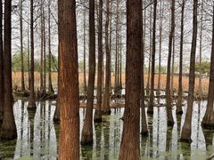 -云龙湖旅游景区