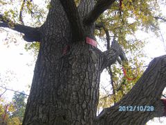 -牛郎织女景区
