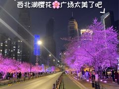 -西北湖绿化广场