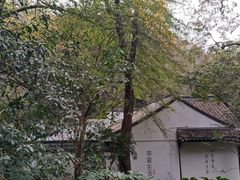 -龙坞茶村