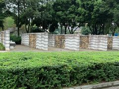 -神仙树公园