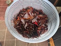 -指爱龙虾(金杨路总店)