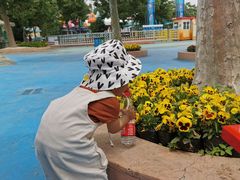 -秦皇岛乐岛海洋王国