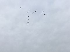 -丁香湖公园
