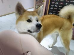 -JX今喜美甲美睫