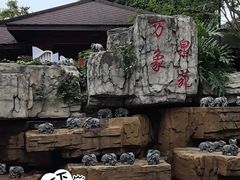 -万象温泉景区