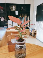 -归位瑜伽＆普拉提馆