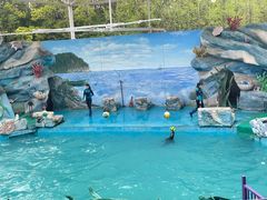 -上海野生动物园