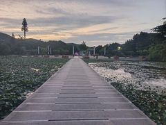 -白马涧龙池景区