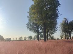 -汉长安城未央宫国家考古遗址公园