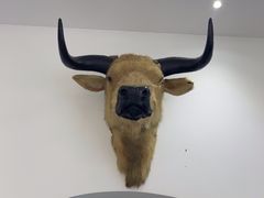 -黄牛肉馆·皖南土菜