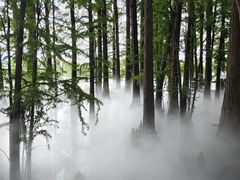 -东湖落雁景区