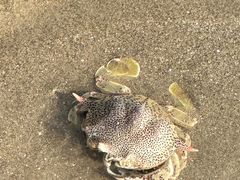 -珠海金沙滩