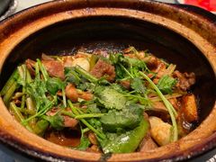 沙姜嗜鸡-煲煲好(朝阳门店)