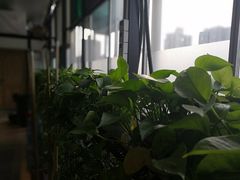 -回声星球·团建策划·赛事承办·拓展培训(大钟寺店)