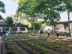 -绍兴鲁迅故里·沈园景区