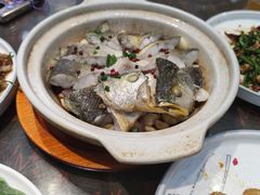 砂锅焗黄花鱼-1937青岛老味道·海肠捞饭·青岛菜(大鲍岛栈桥店)