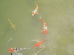 -华南国家植物园-售票处